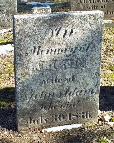 File:Ancestry O2 abigail.jpg