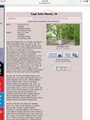 Thumbnail for version as of 13:16, 25 May 2026